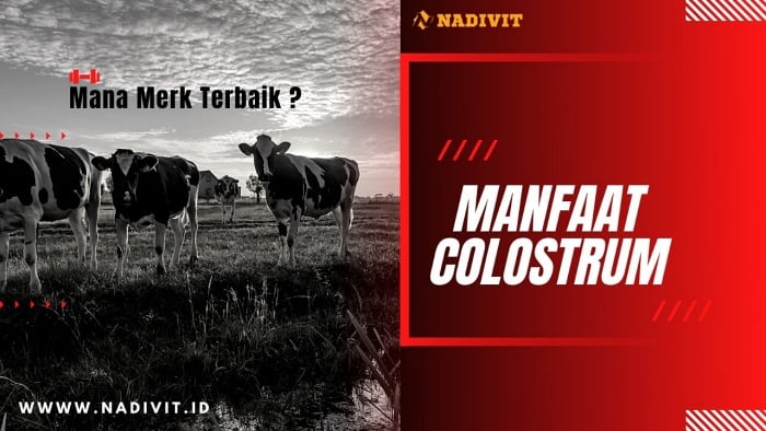 Manfaat Susu Kolostrum